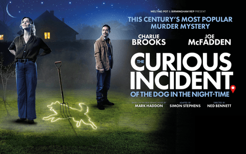 The Curious Incident of the Dog in The Night-Time