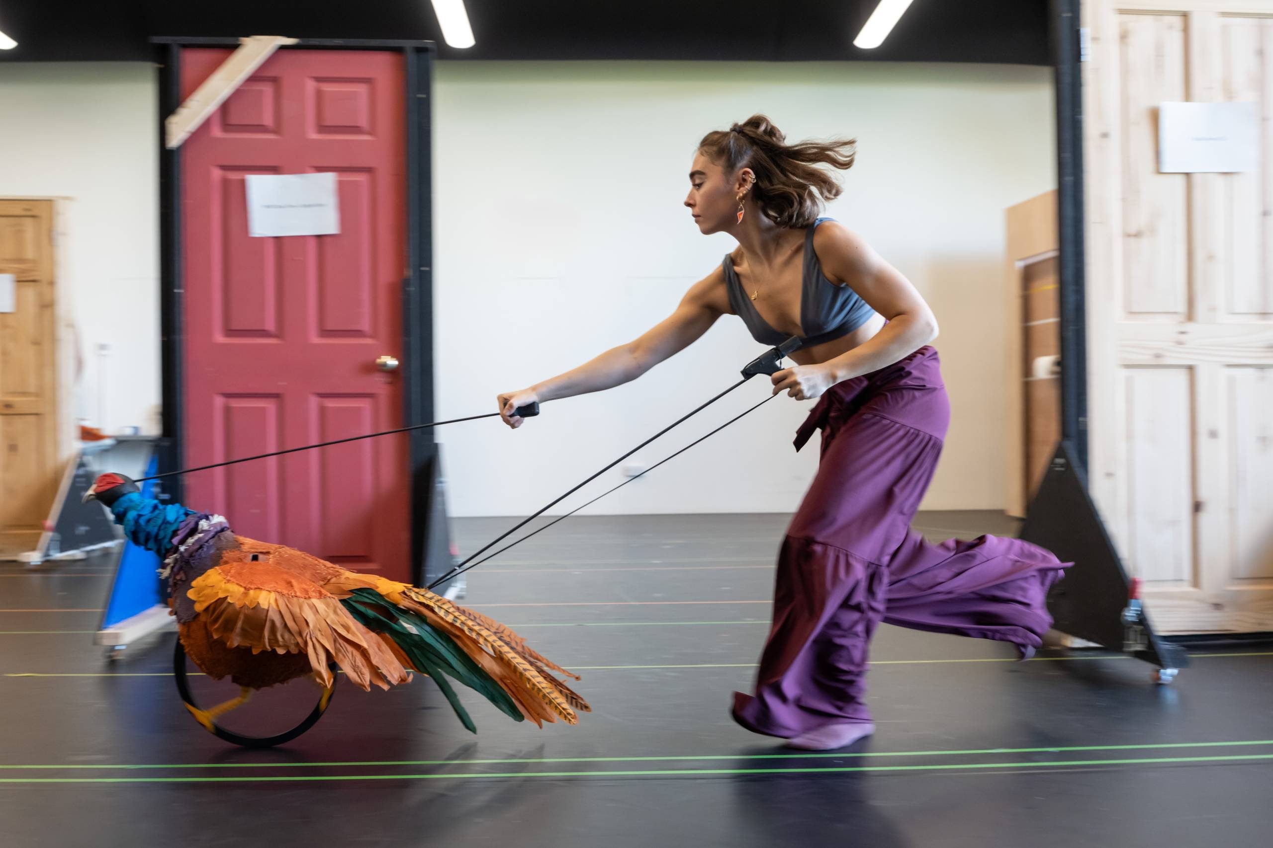 A dancer in motion pushes a colourful, bird-shaped puppet on wheels across a rehearsal space. The background features various doors as set pieces.