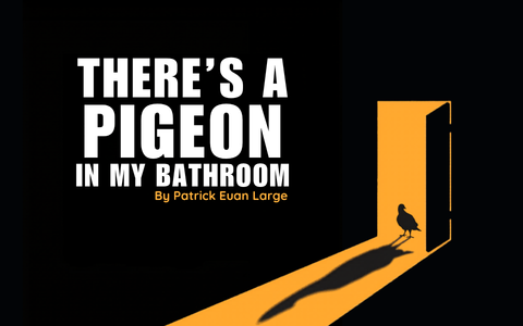 The silhouette of a pigeon can be seen in an orange glow from a doorway. Text reads There's A Pigeon In My Bathroom.