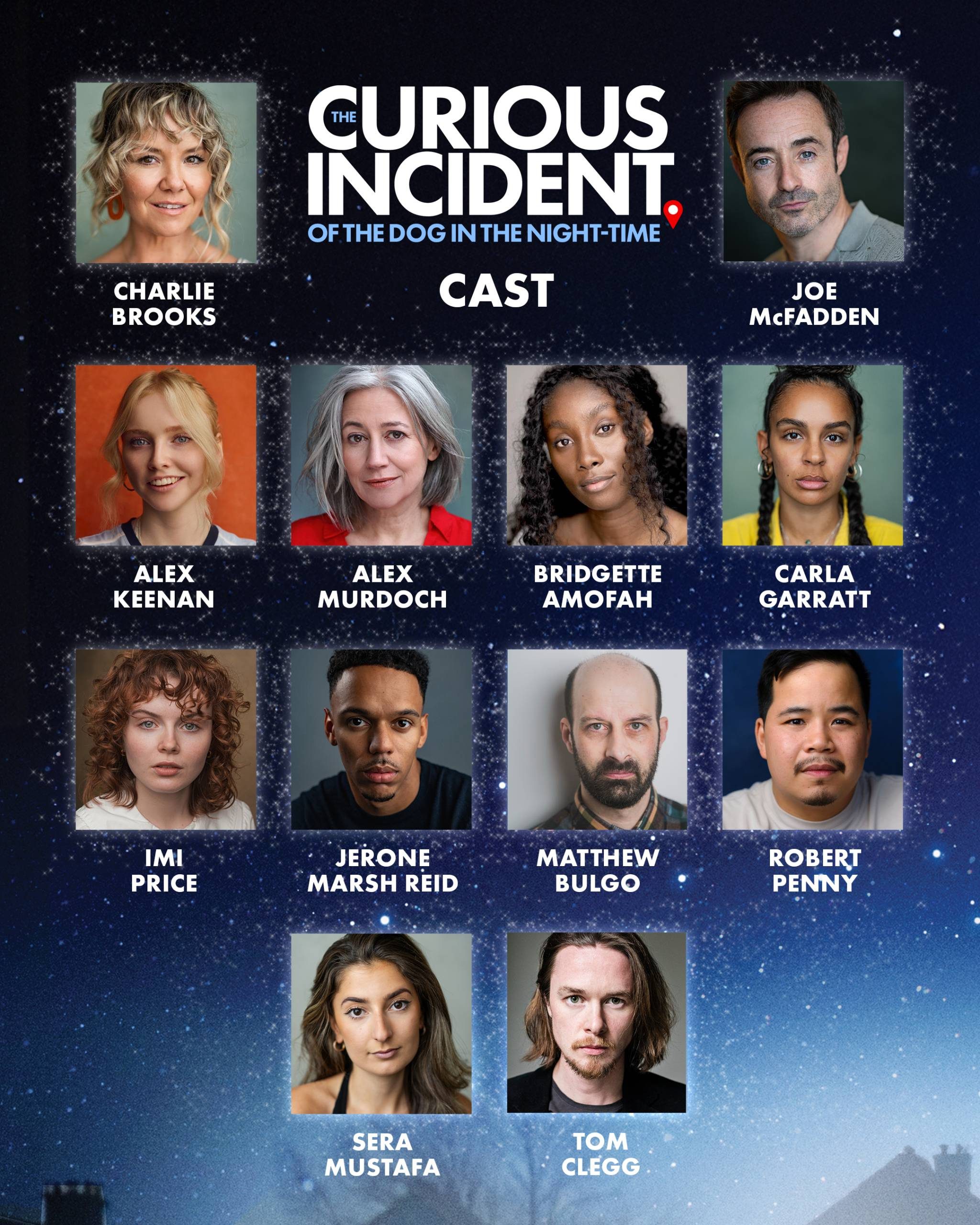 Cast Announcement for Curious Incident of The Dog in The Night-Time